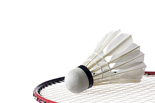 使得小球队 使得小球队