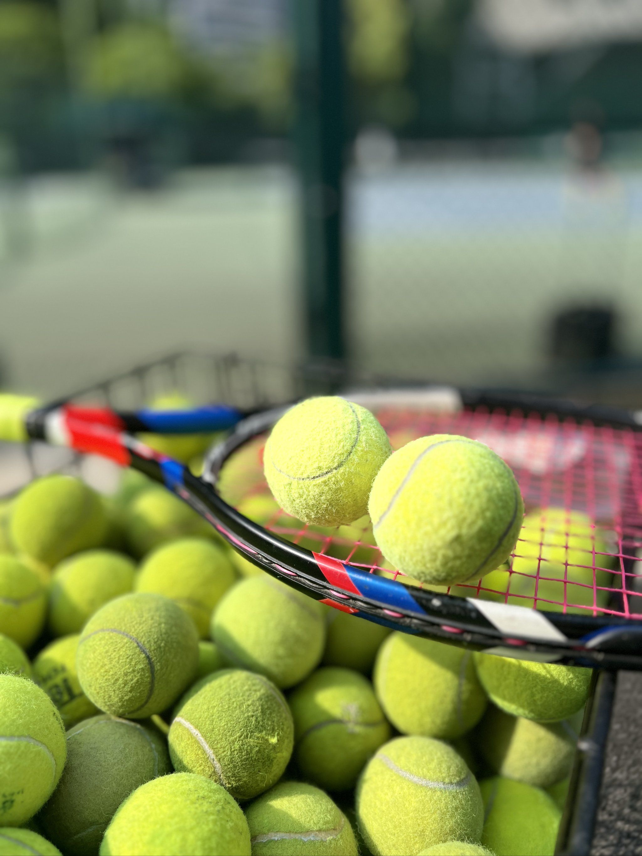 还能增强国 还能增强国