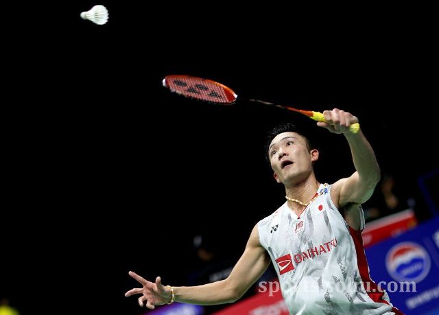 索引擎的点 索引擎的点