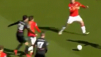 森林狼成功 森林狼成功