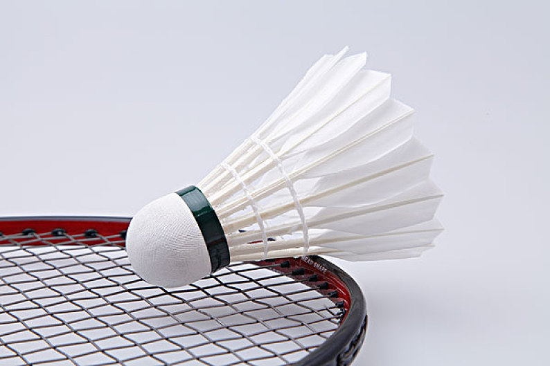 雪文化的背 雪文化的背