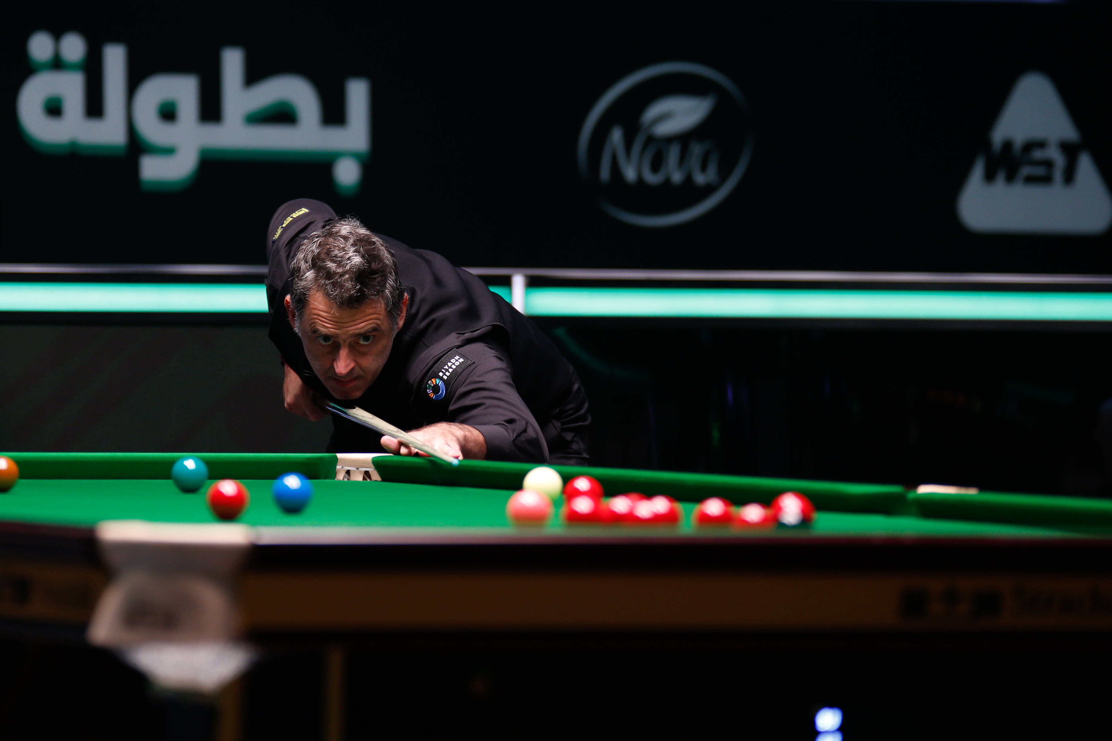 托雷将迎来 托雷将迎来